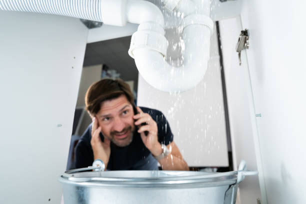 Best Clogged Drain Plumber  in Webster Groves, MO