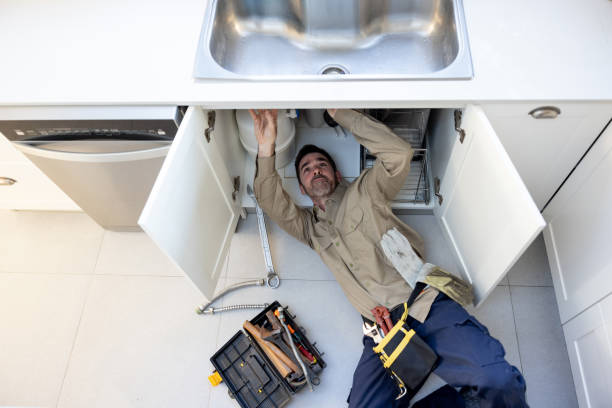 Best Leak Detection Services  in Webster Groves, MO