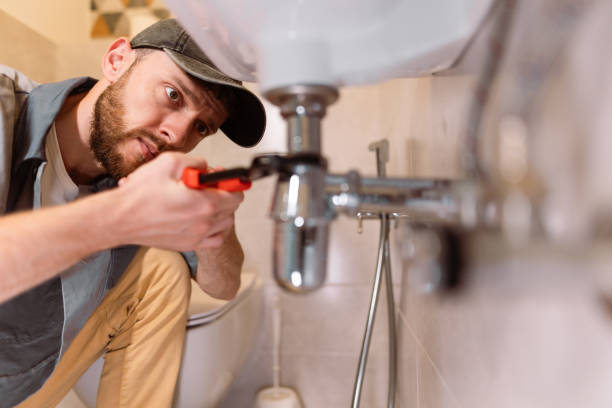 Best Plumbing Services Near Me  in Webster Groves, MO