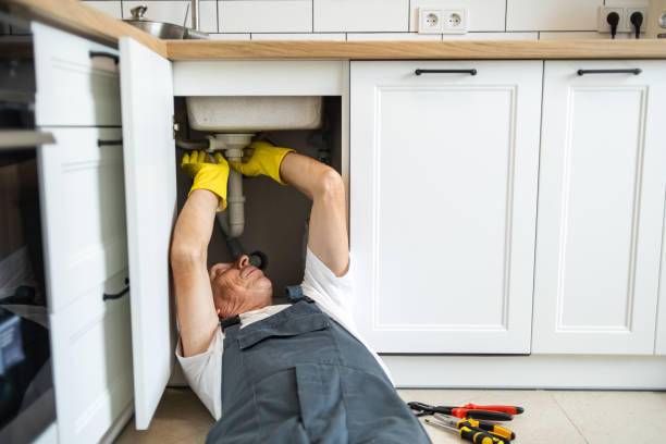 Professional Plumbing in Webster Groves, MO
