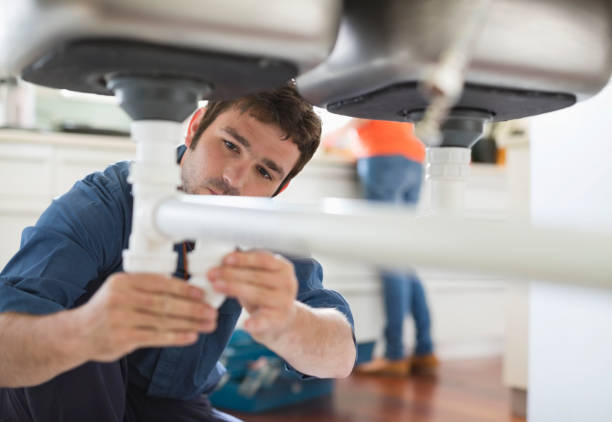 Best Local Plumber Services  in Webster Groves, MO