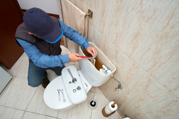 Best Affordable Plumbing Services  in Webster Groves, MO